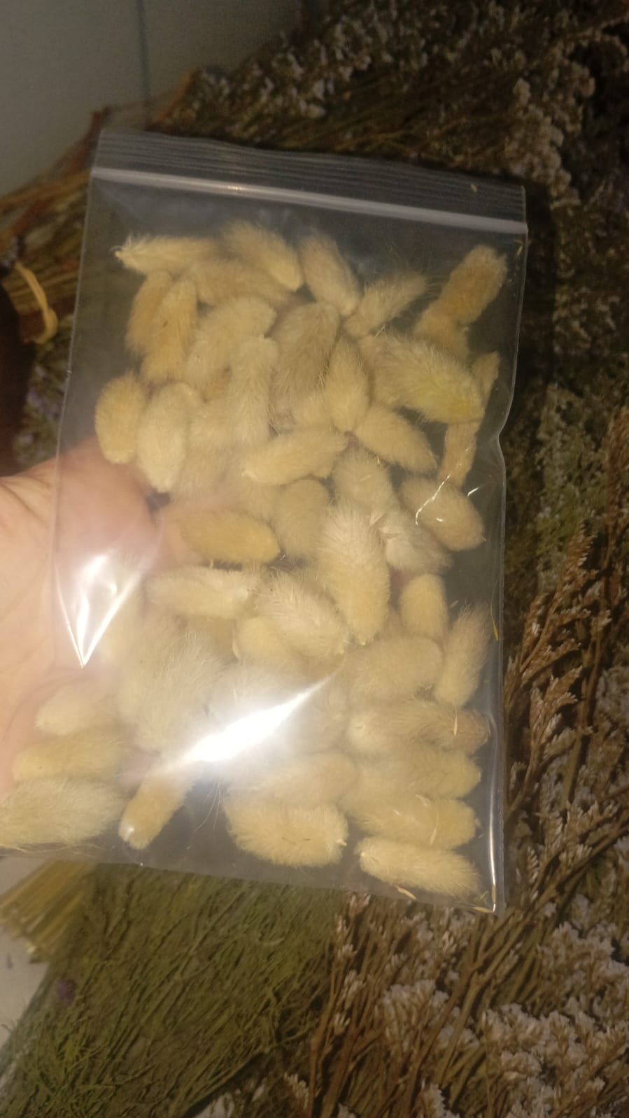 Agrovet Alimento Engorde Porcinos